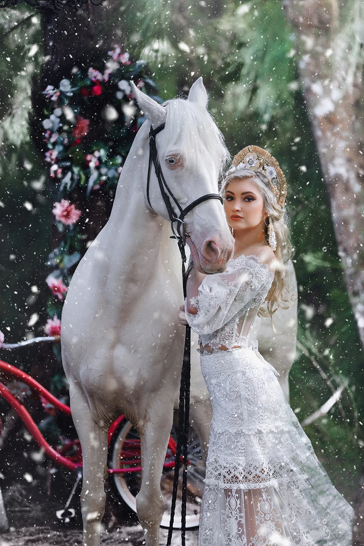 Creative Edit Add on Snow Rain Sunflare After 04