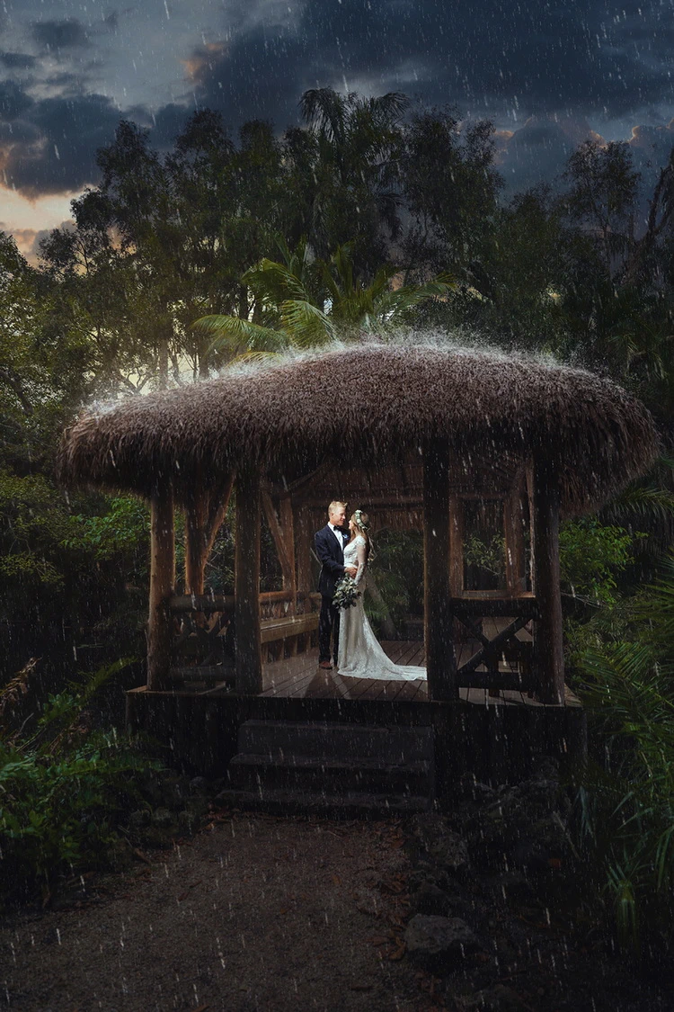 Creative Edit Add on Snow Rain Sunflare After 05