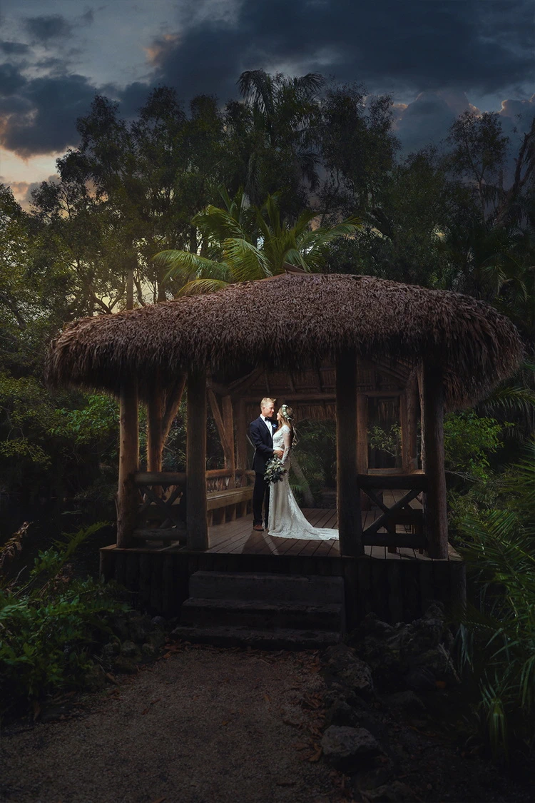 Creative Edit Add on Snow Rain Sunflare Before 05