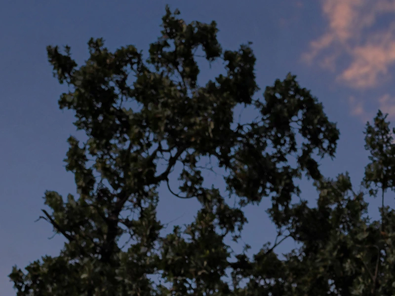 Creative Edit Sky Replacement Chromatic Aberration After