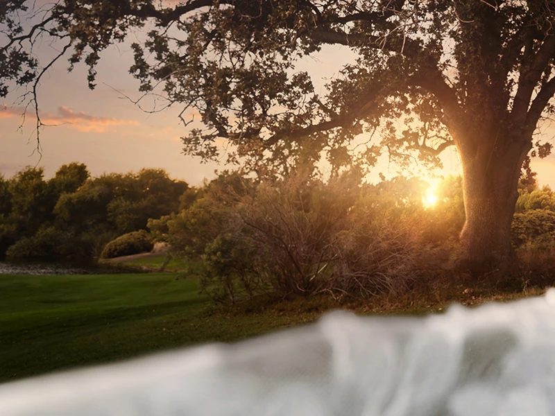 Creative Edit Sky Replacement Sky Match Brushing after