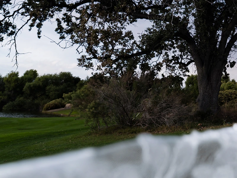 Creative Edit Sky Replacement Sky Match Brushing before