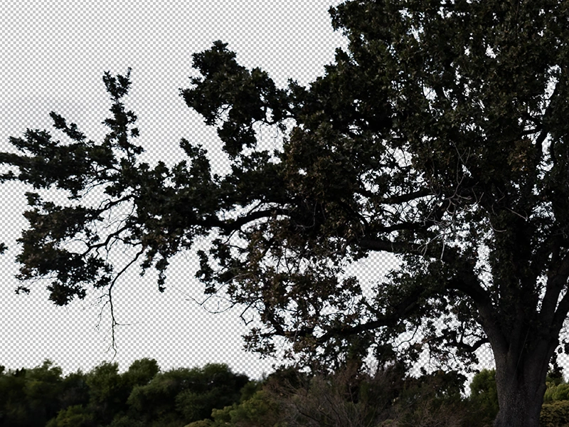 Creative Edit Sky Replacement Sky Removing before