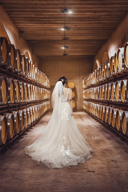 Lightroom Basic - Light - After